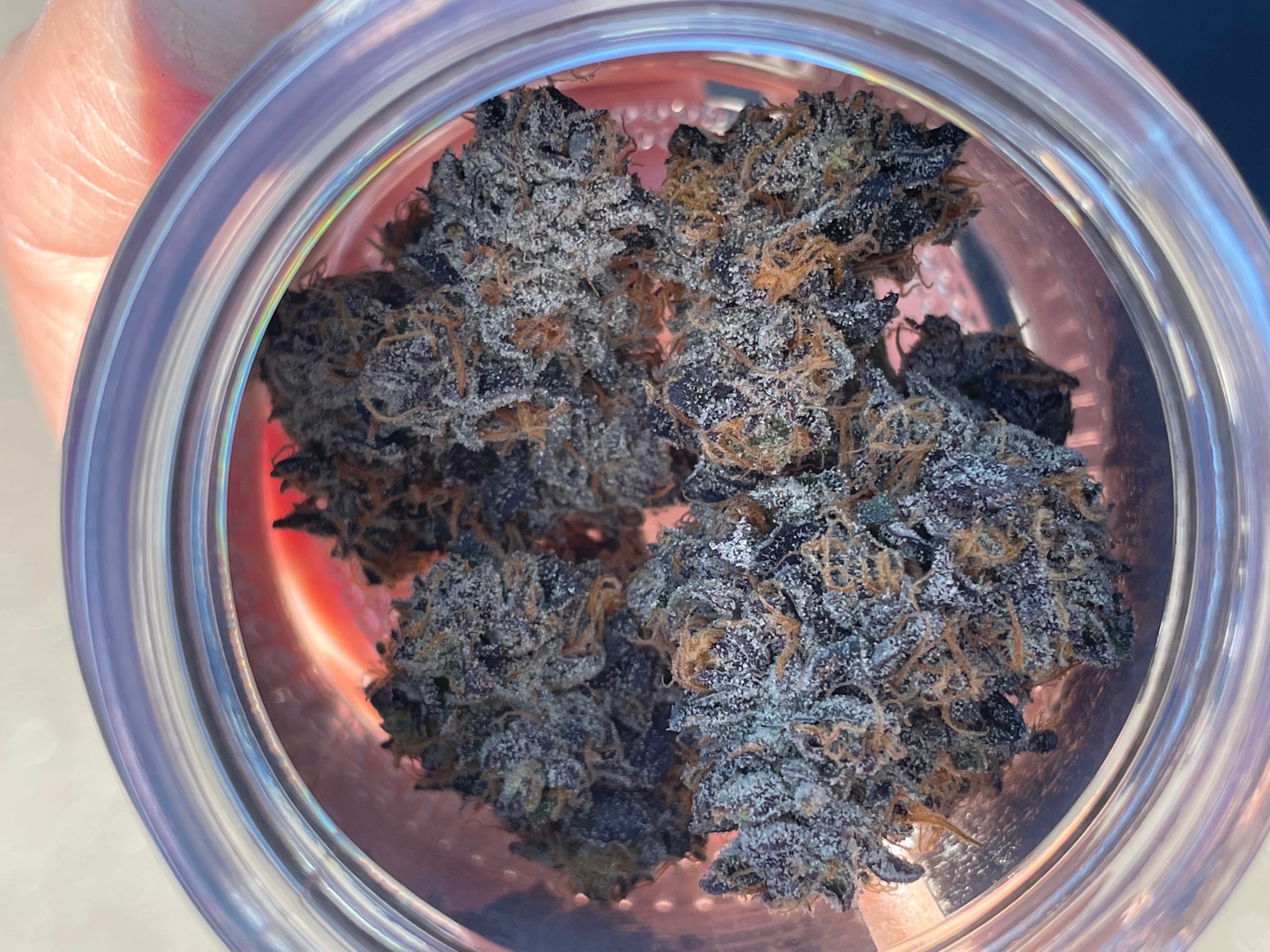 Photograph of product: Clarkies | Flower | Sharpy | Indica - 3.5g