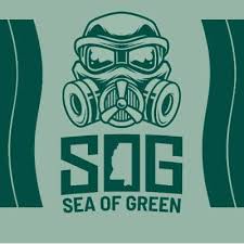Photograph of product: Coastal | Sog | Sleepy Cherry | 400mg