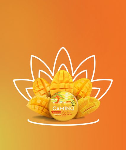 Photograph of product: Camino 200mg Gummies | Mango Serenity - Hybrid + CBD