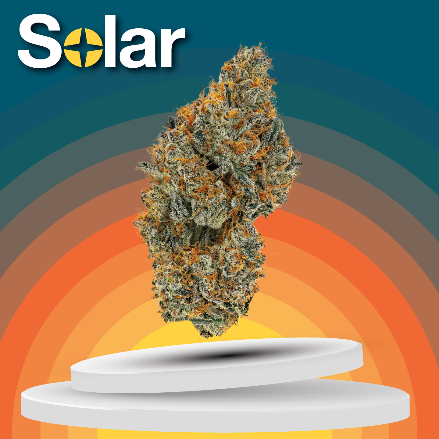 Photograph of product: Applescotti | Solar - 3.5g