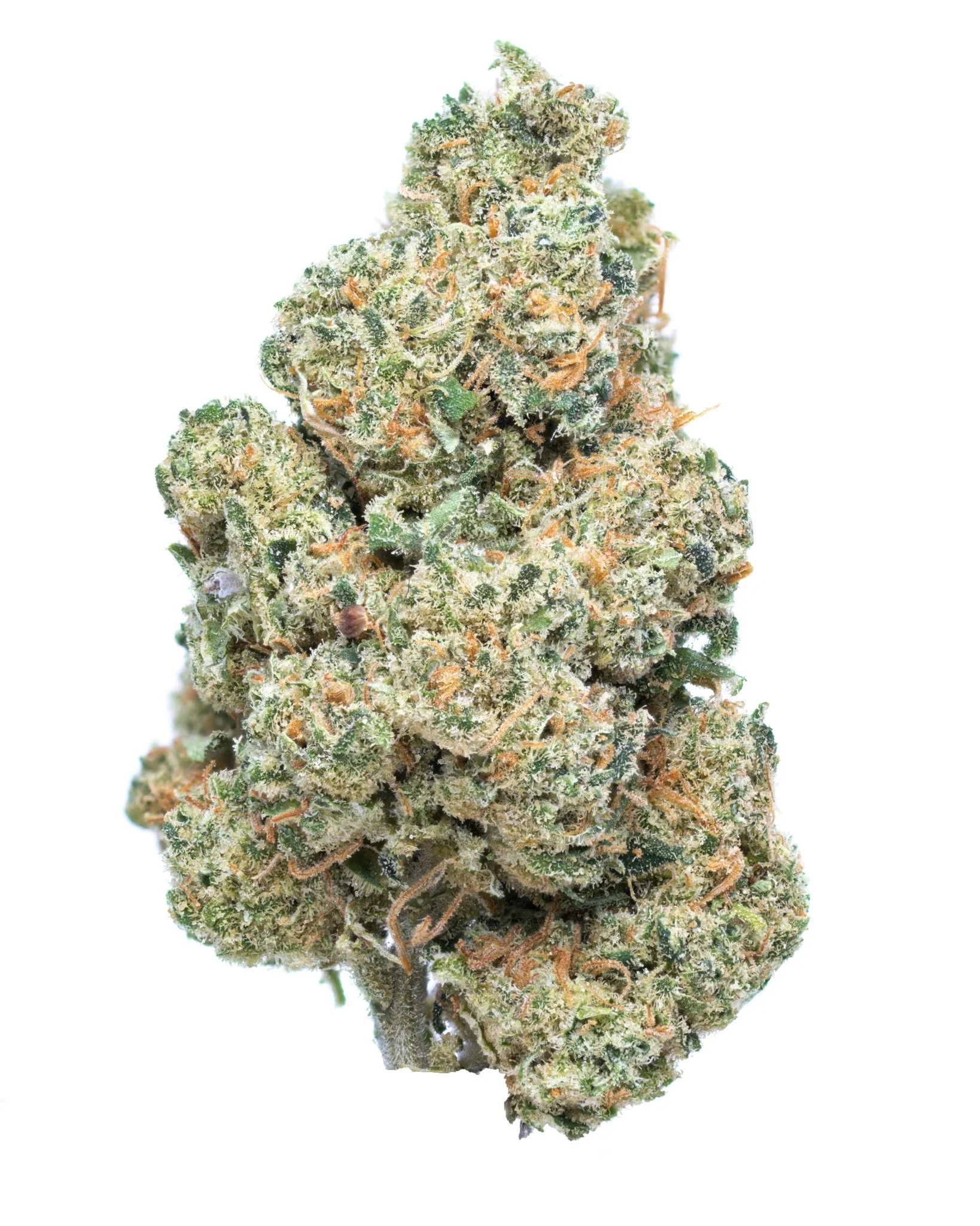 Photograph of product: Frosted Kush - 28g