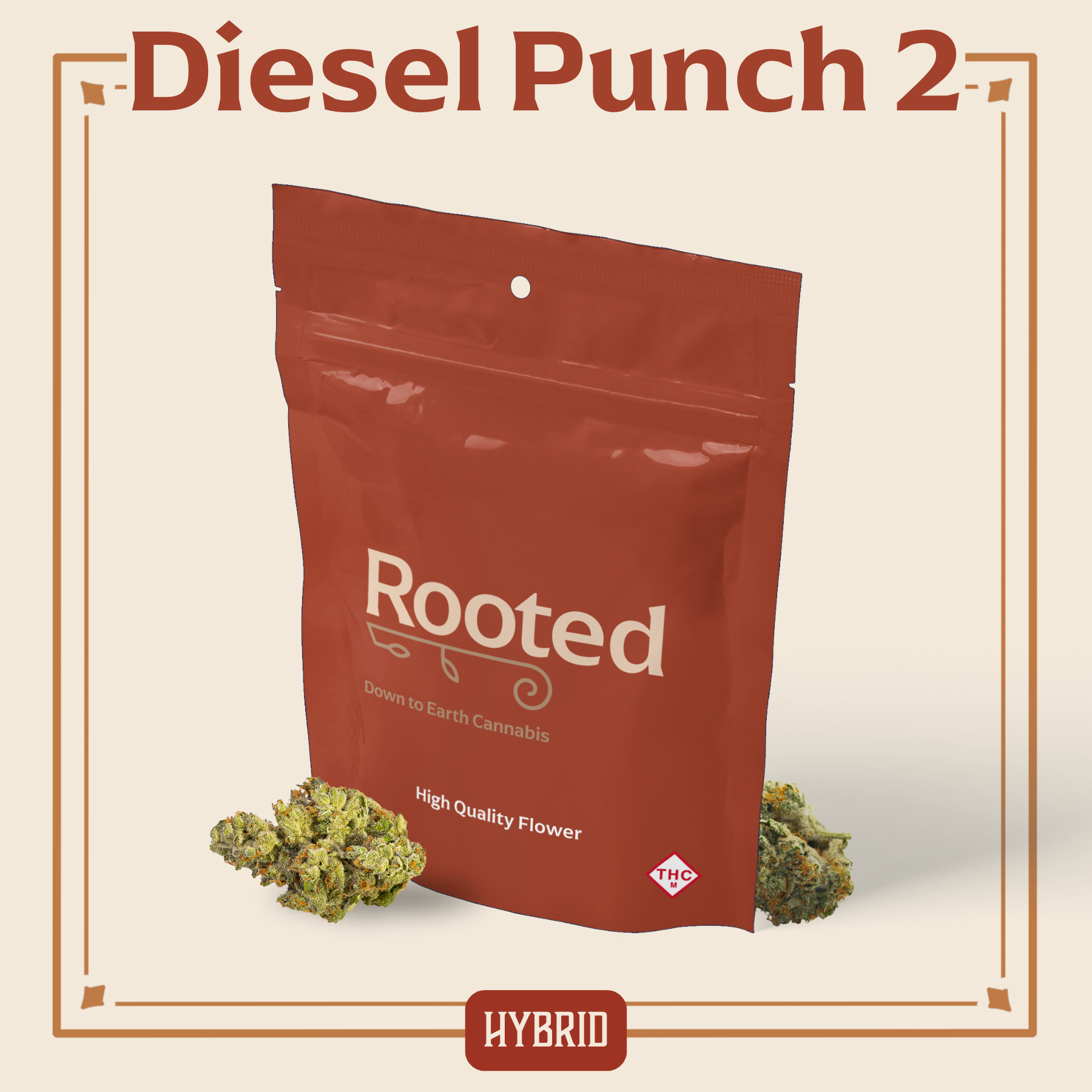 Photograph of product: Rooted: Flower | Diesel Punch #2 | 3.5g
