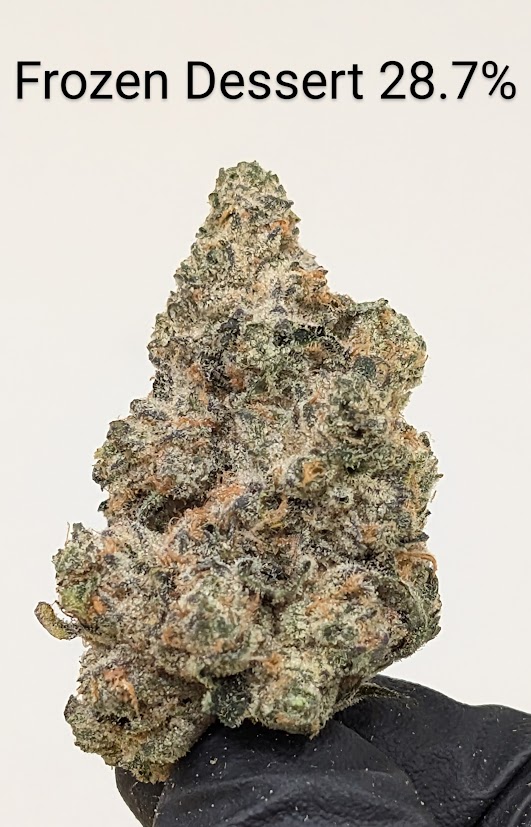 Photograph of product: Frozen Dessert - 3.5g