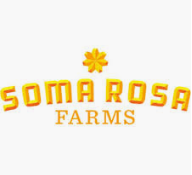 Photograph of product: GRAPE PIE 3.5G