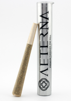 Photograph of product: P164 | Aeterna | Apple Fritter | Pre Roll