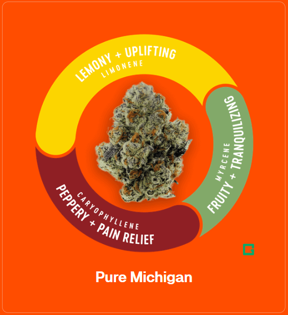 Photograph of product: VIVID | PURE MICHIGAN | PREPACK | 3.5G | I/S