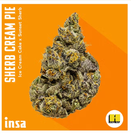 Photograph of product: Sherb Cream Pie - 28g Flower - INSA