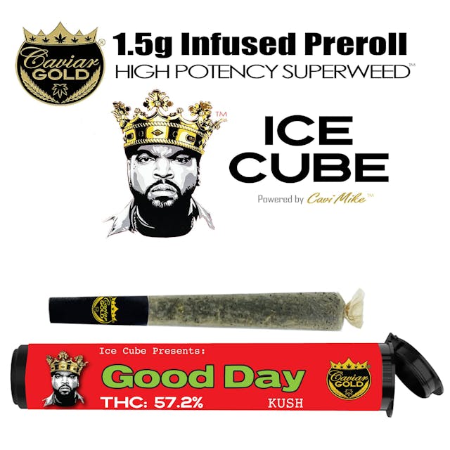Photograph of product: Good Day | Cavi Cone | 1.5g Infused Preroll