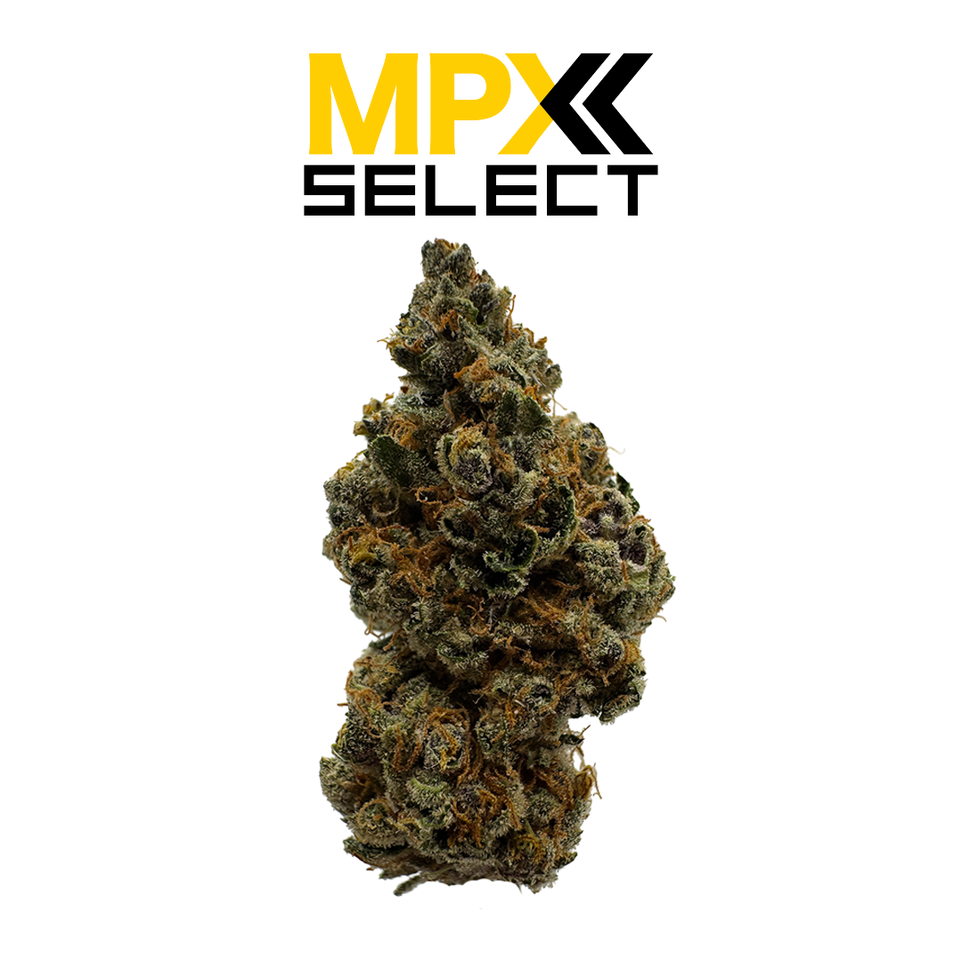 Photograph of product: MPX Select Lavender Cookies Flower - 3.5g