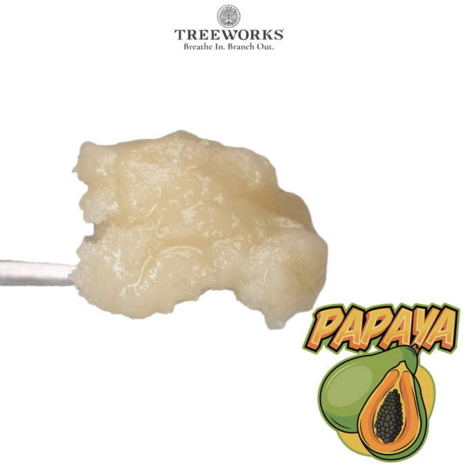 Photograph of product: Treeworks Papaya 1g Live Rosin Jam