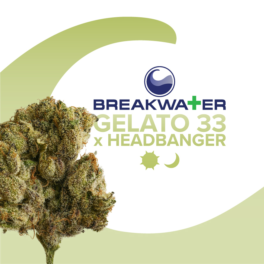 Photograph of product: Gelato 33 x Headbanger - 3.5g