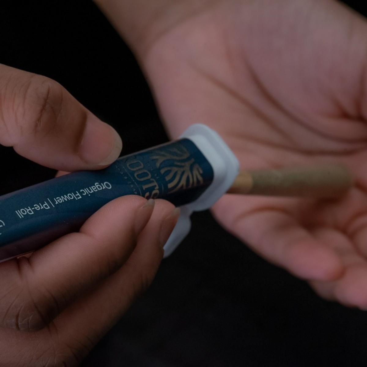 Photograph of product: BLUEBERRY au chocolatPLANT | PREROLL - 1 G