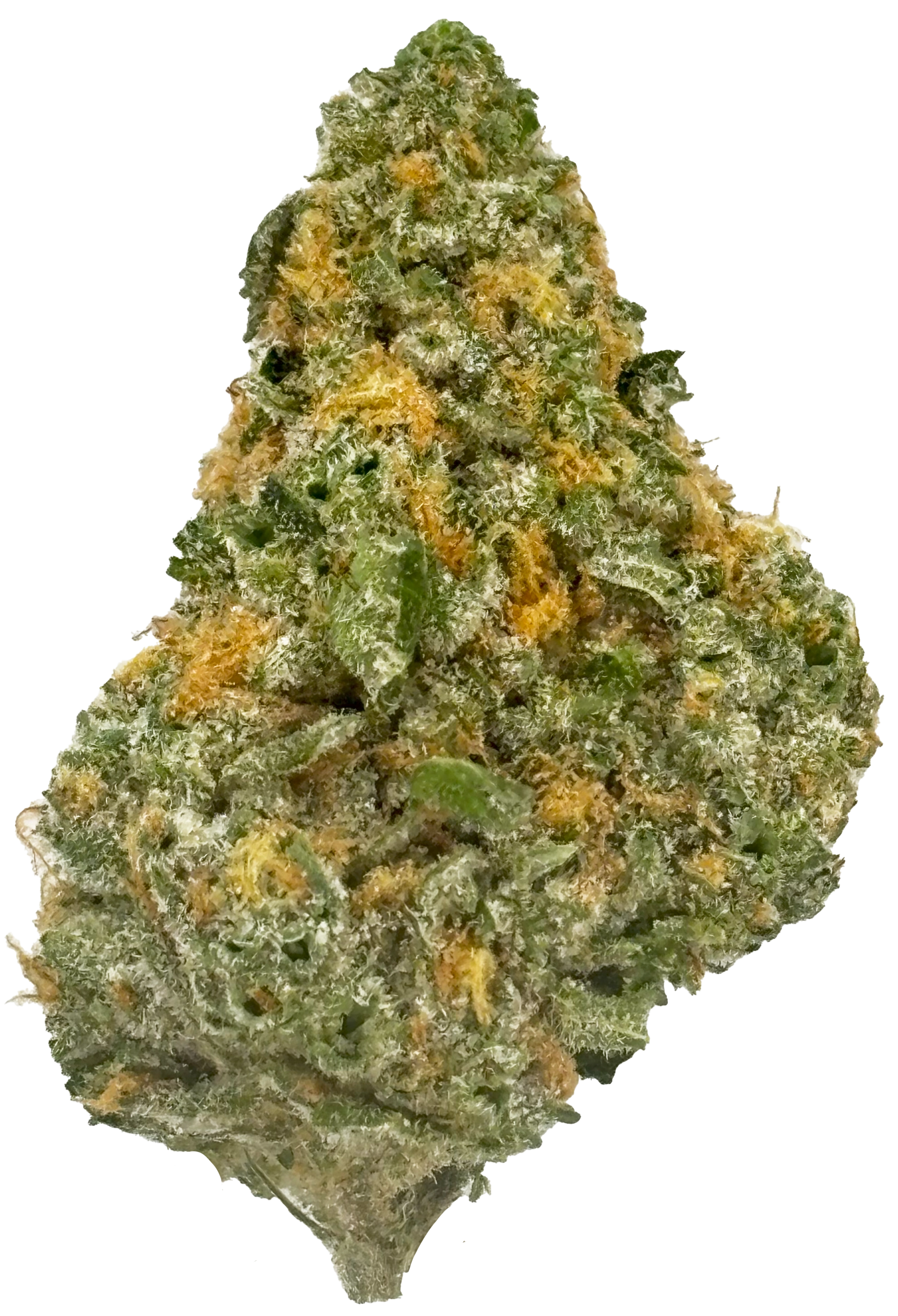 Photograph of product: Common Citizen | Garlic Breath | Boutique Deli Flower - 1g