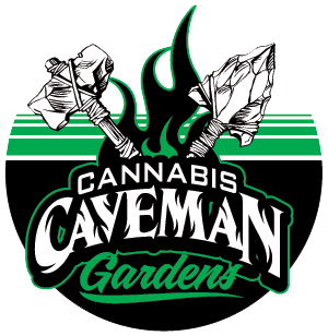 Photograph of Product: Cannabis Caveman - Fried Strawberries - Flower - 3.5g