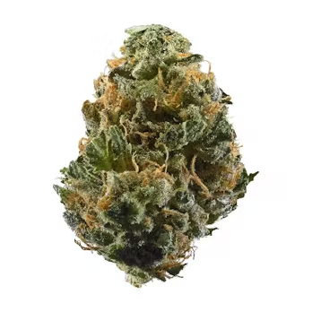 Photograph of product: Deli Style Diamond Tier - Lemon Kush Mint X Gelatti - 28g