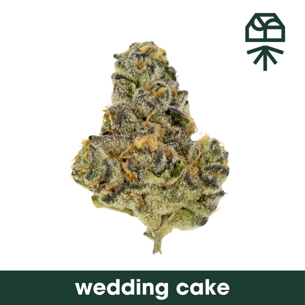 Photograph of product: GRASSROOTS | WEDDING CAKE 2.0 FLOWER 3.5G