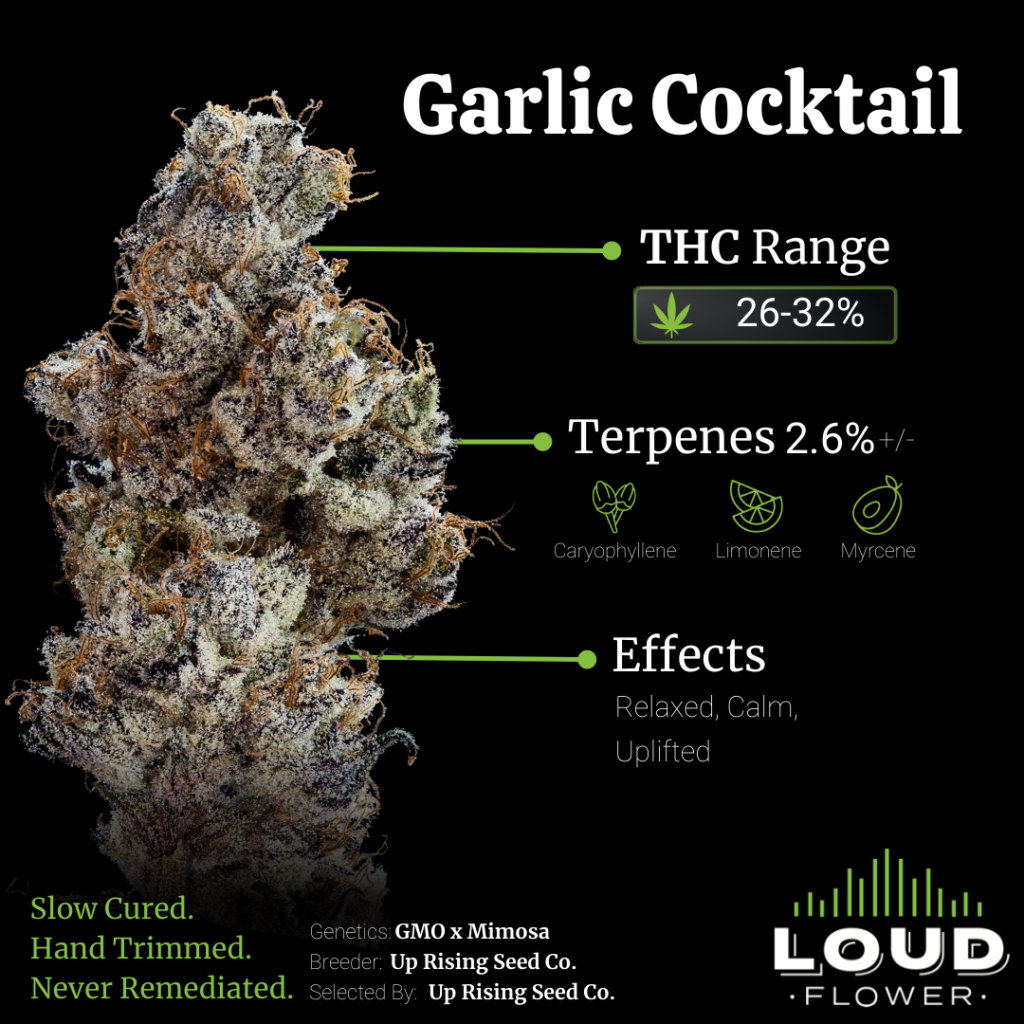 Photograph of product: MI Loud | Garlic Cocktail | Bulk Flower - 28g