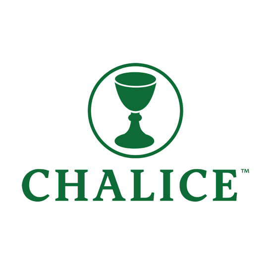 Photograph of product: Chalice T | Heather Grass Green XXXXL