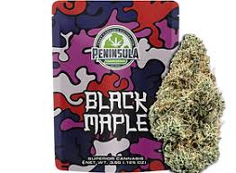 Photograph of product: Peninsula Gardens - Pre-Packaged 8th - Black Maple - 3.5g
