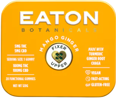 Photograph of product: Fixer Upper: Mango Ginger - TH-oui:CBD Gummie 20 Pack (100mg)
