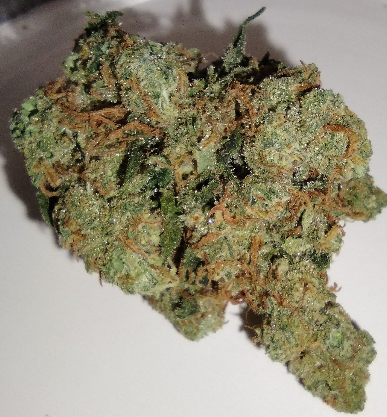 Photograph of product: Bad River Oui'd - Sophia - 7g - Flower