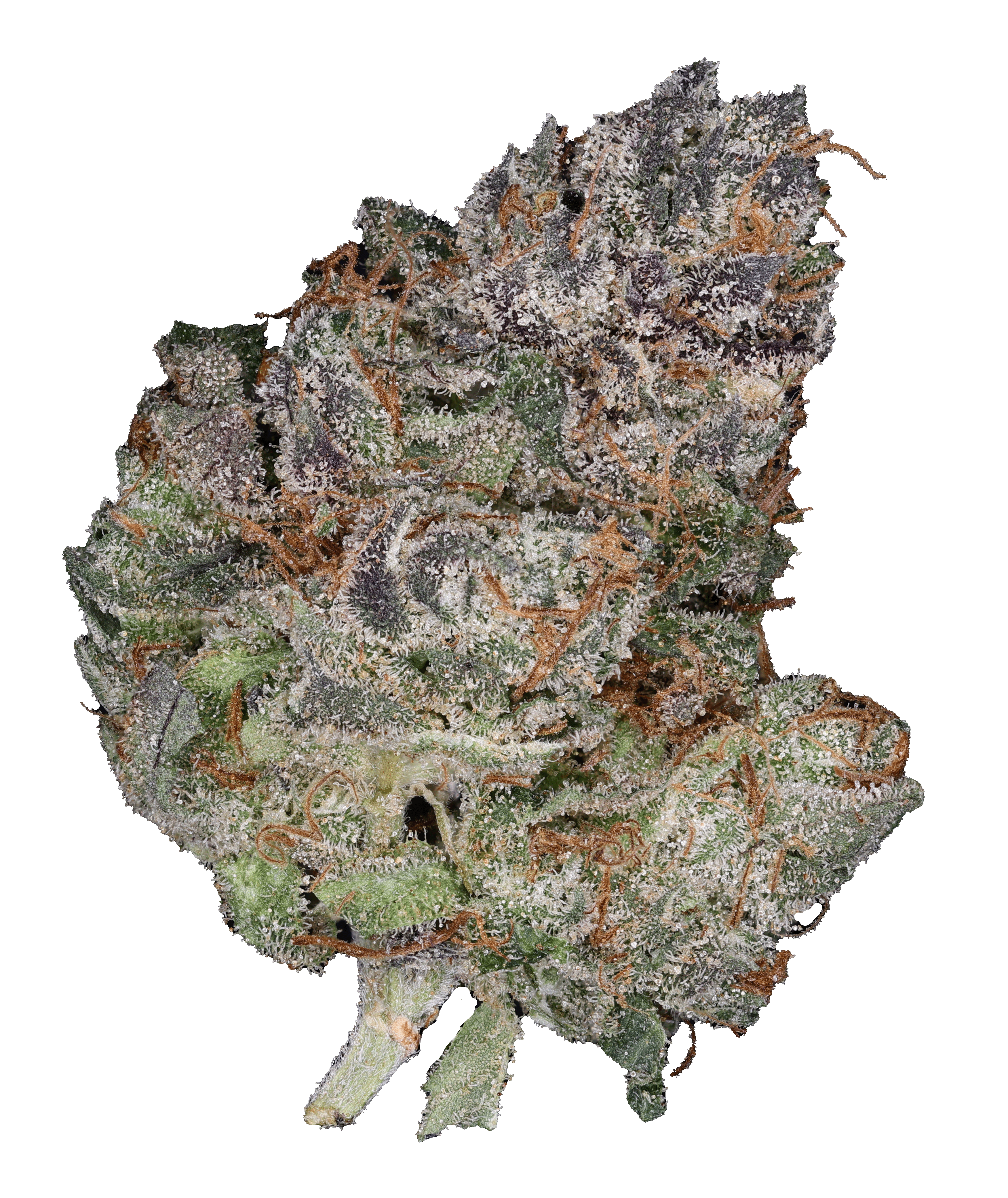 Photograph of product: Dante's Inferno - 3.5g