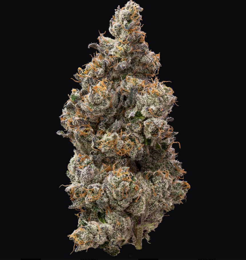 Photograph of product: Bananaconda | 3.5g