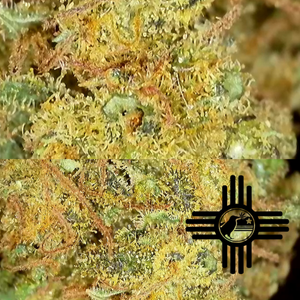 Photograph of product: Jack Herer | BirdPham | - 28g
