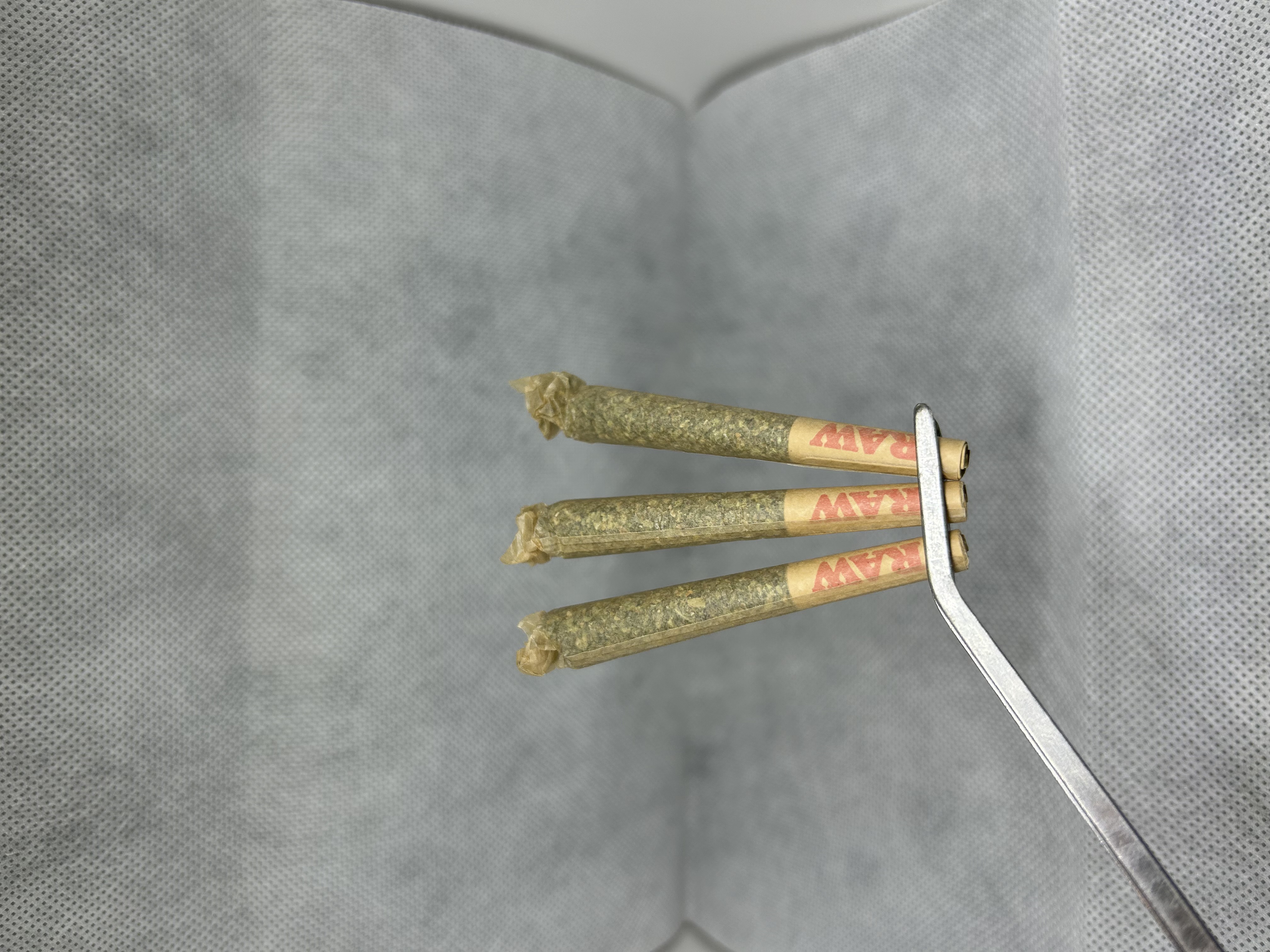 Photograph of product: Sugar Leaf Banana Pudding Joints