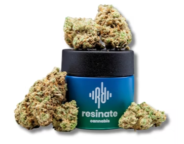 Photograph of product: Socrates Sour | 3.5g | Flower