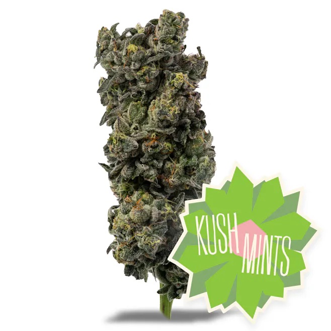 Photograph of product: District Oui'd | Kush Mints - 3.5g