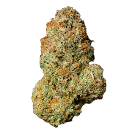 Photograph of product: Seed Junky Malibu Prepack Rec - 3.5g