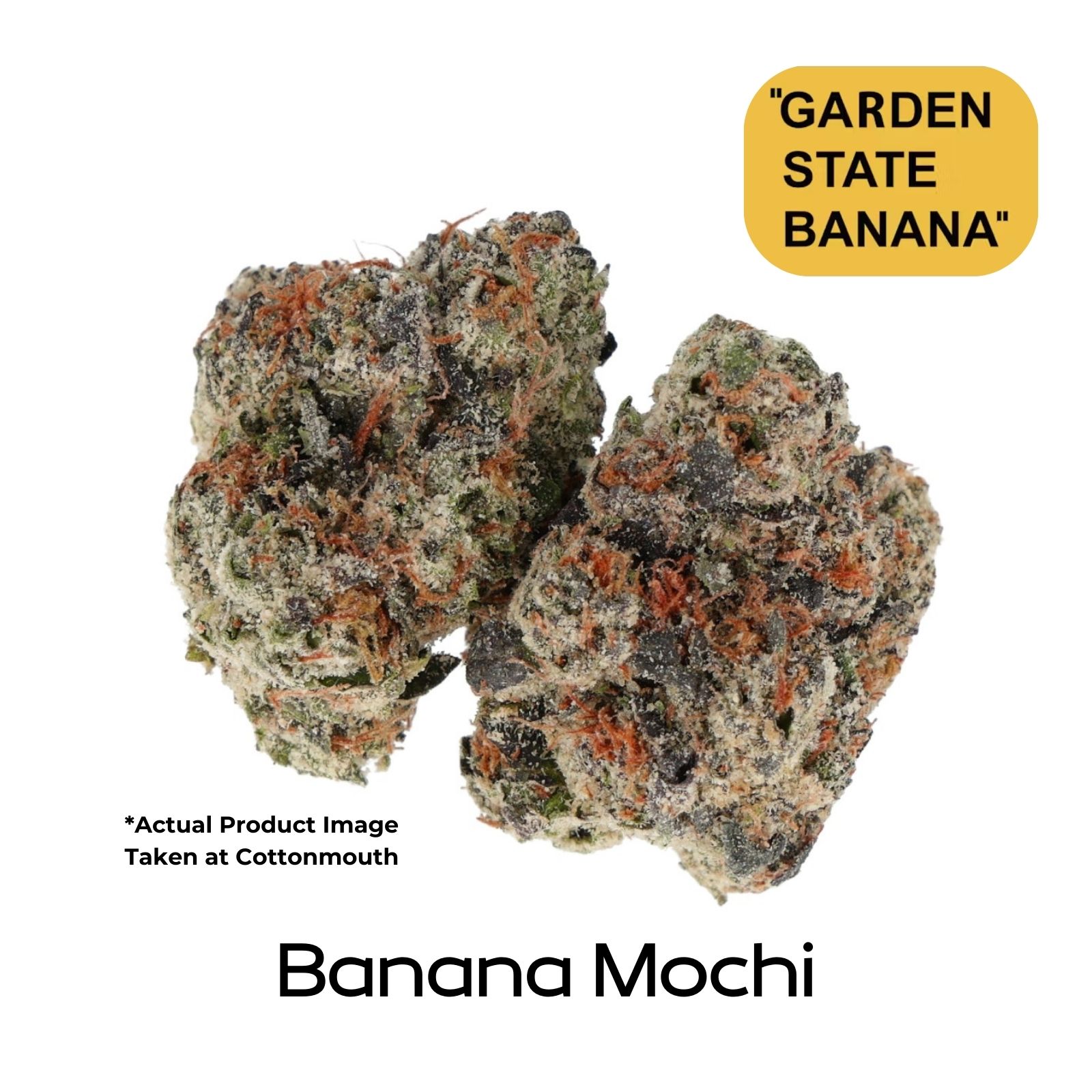 Photograph of product: Garden State Banana | Banana Mochi | Pre-Roll | 1g