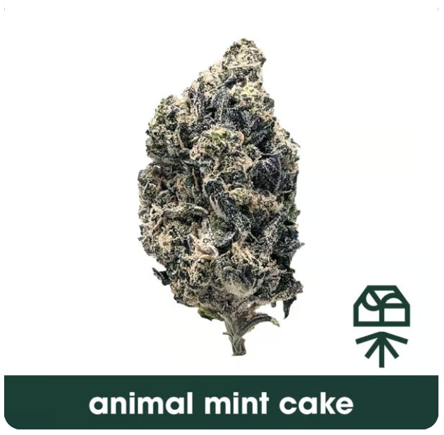 Photograph of product: GrassRoots Animal Mint Cake Flower - 14g