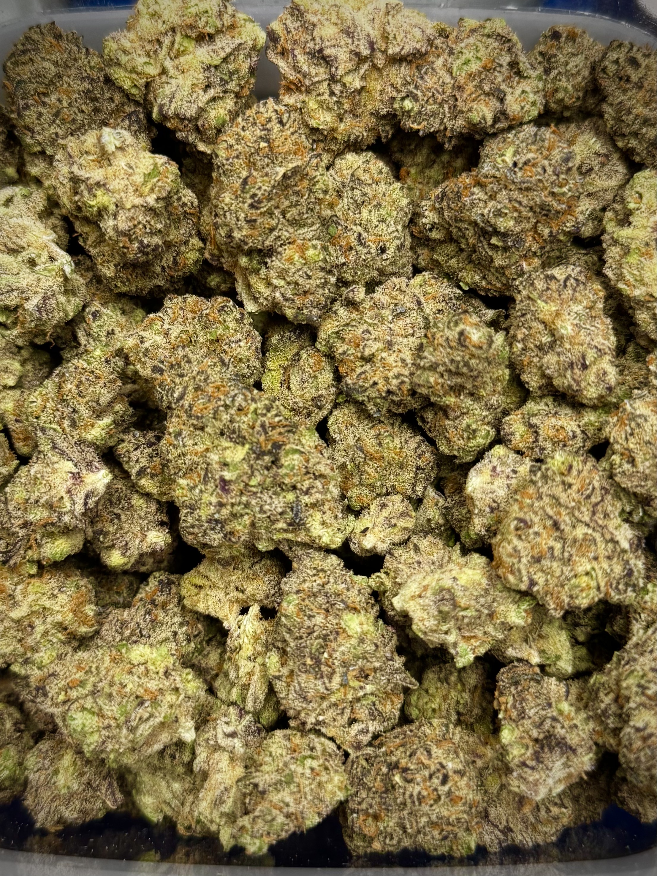 Photograph of product: Disco Bird - High Ridge Farms - 2g