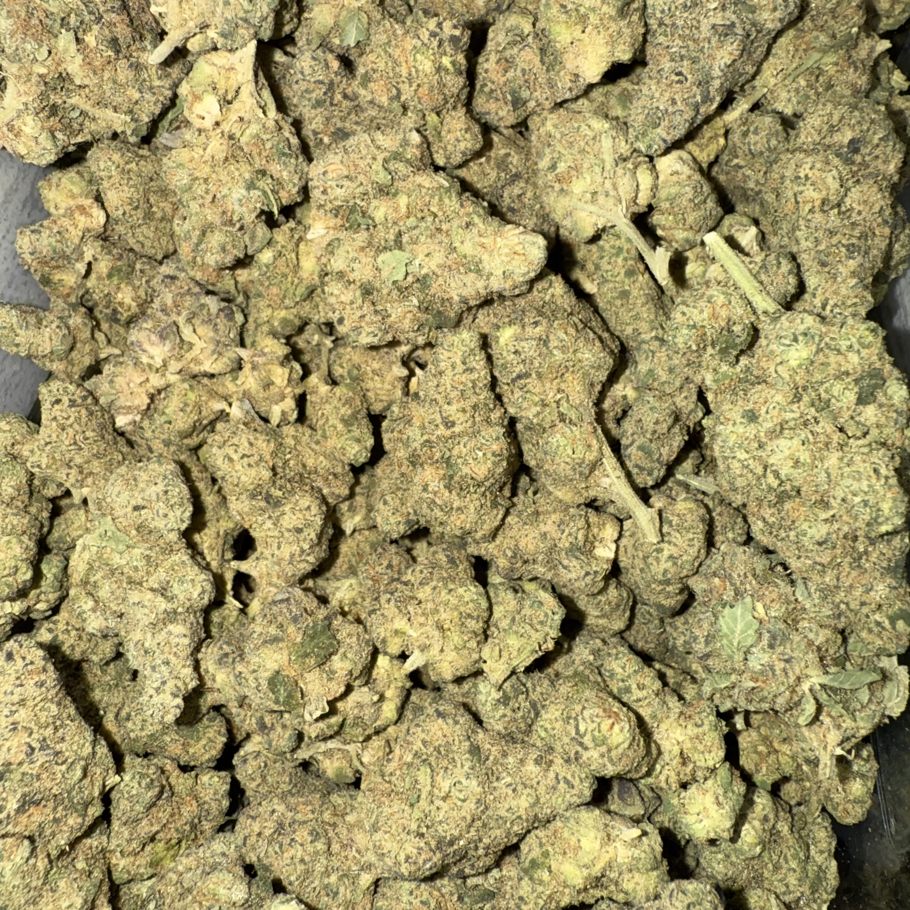 Photograph of product: Creekside Farms | Bulk Flower | Gush Mints - 28g