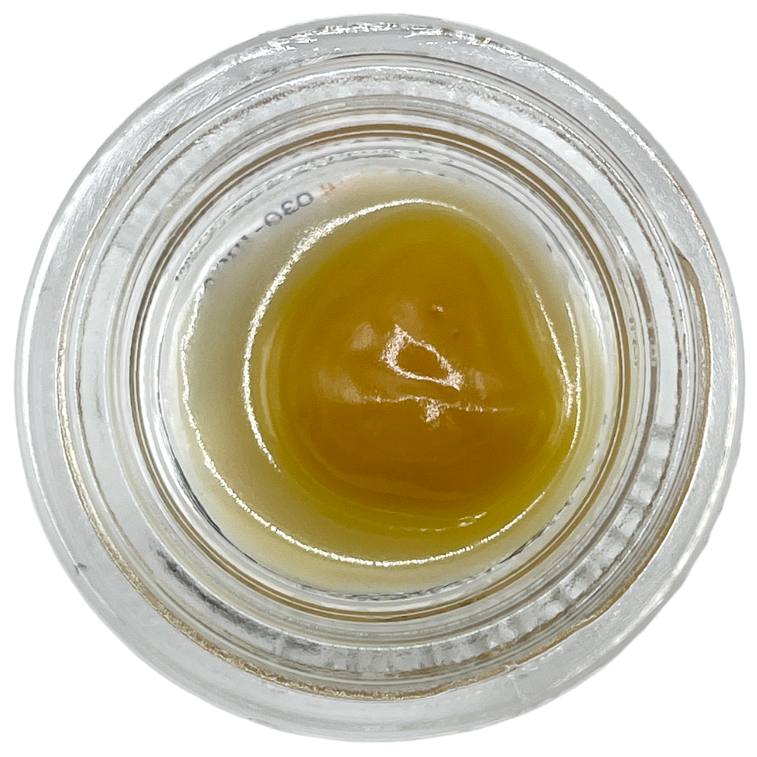 Photograph of product: AA- Magilla Glue 1G LR