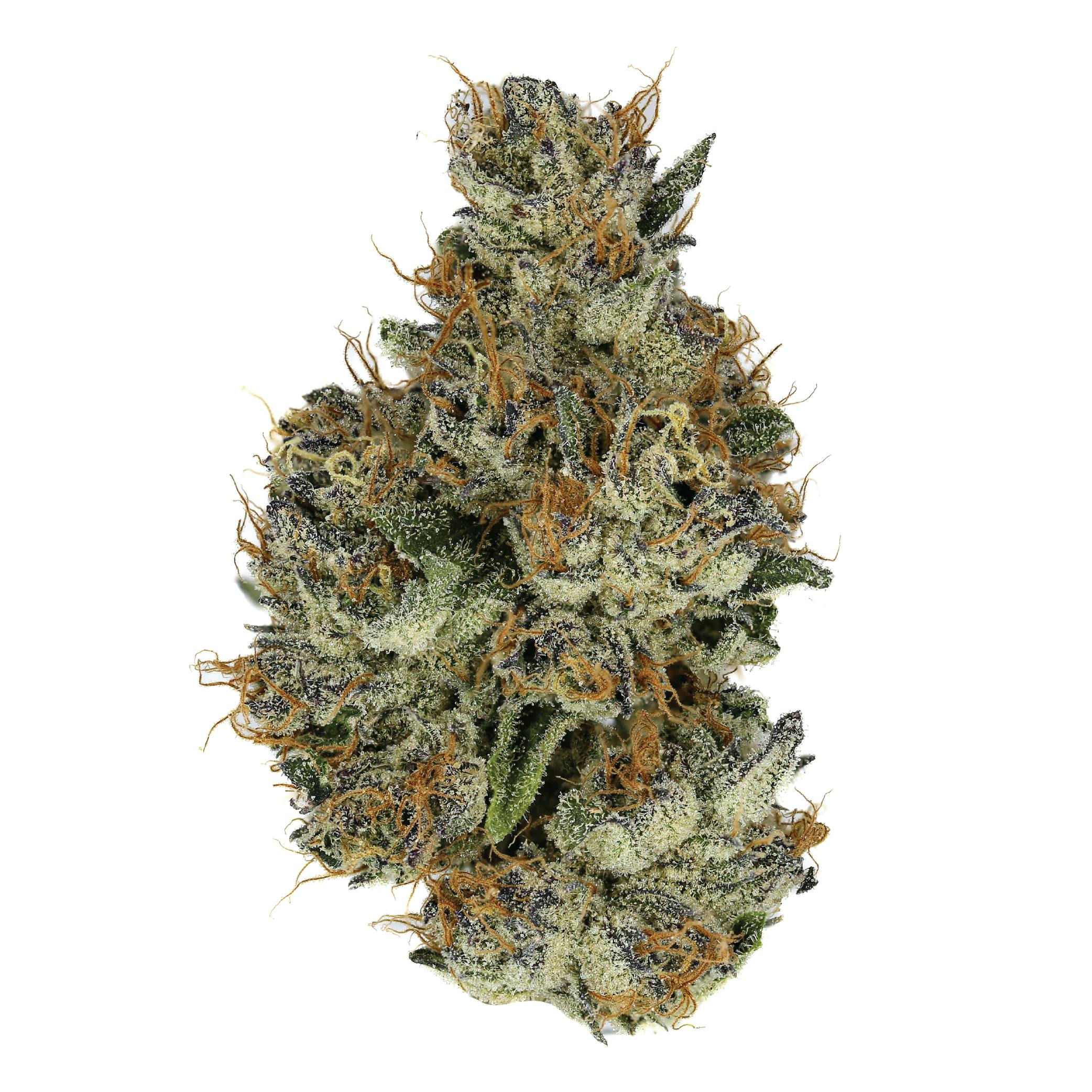 Photograph of product: Ember Valley - Flower - LA Runtz - 3.5G