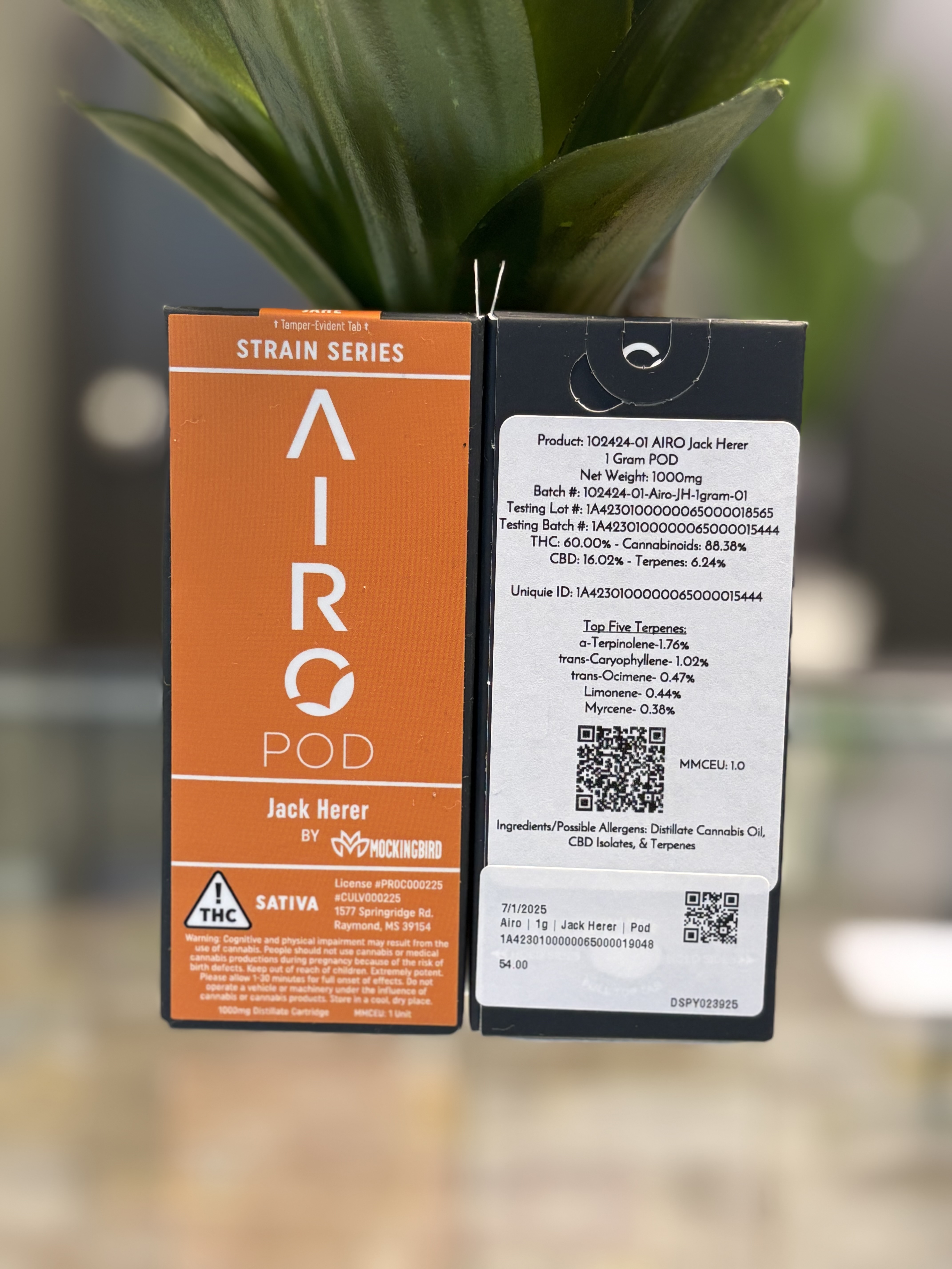 Photograph of Product: Airo | 1g | Jack Herer | Pod
