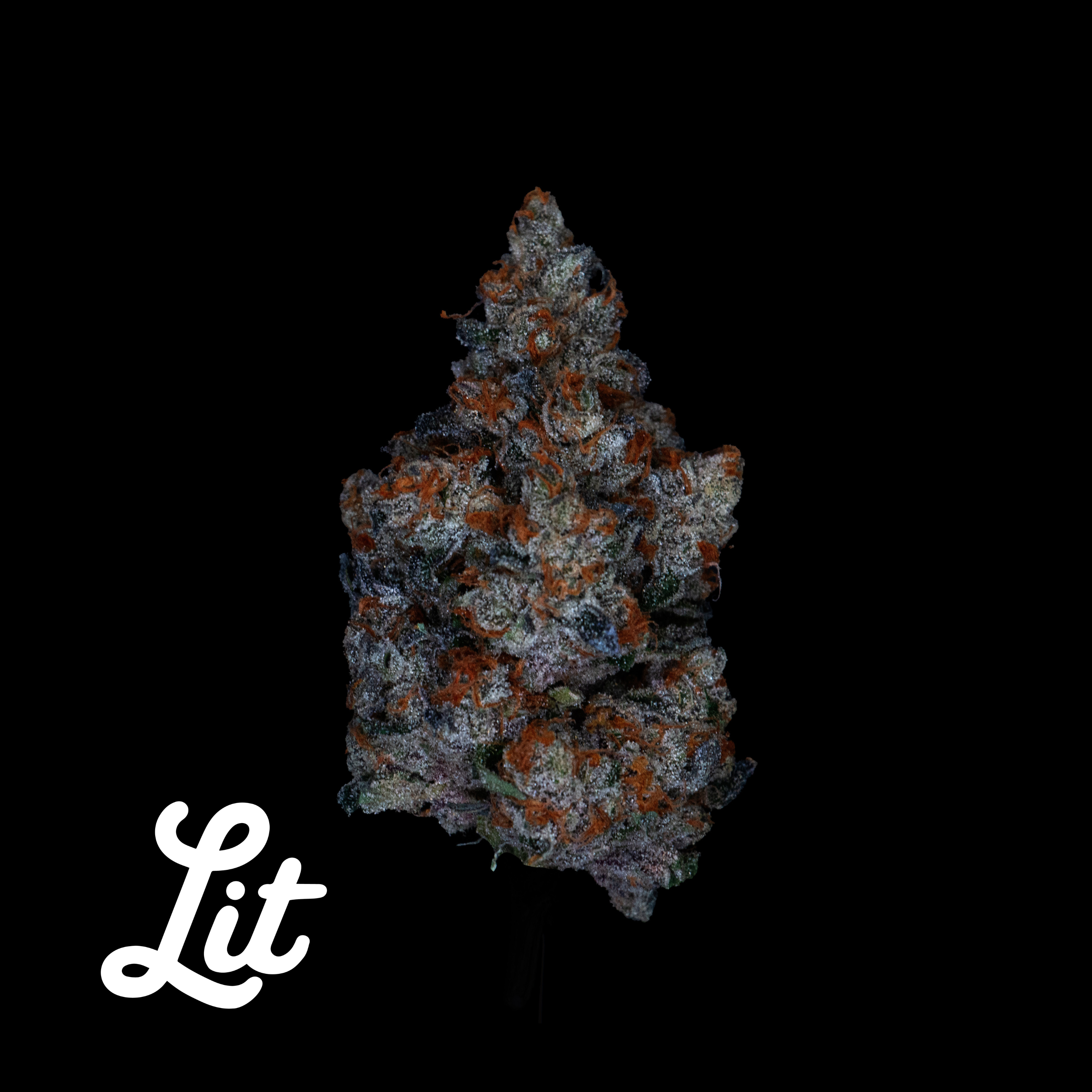 Photograph of product: Loud Cake (I) - 14g