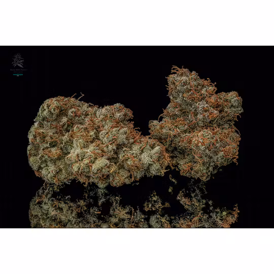 Photograph of product: Pineapple Fields - Hazy Hill Farms - 28g