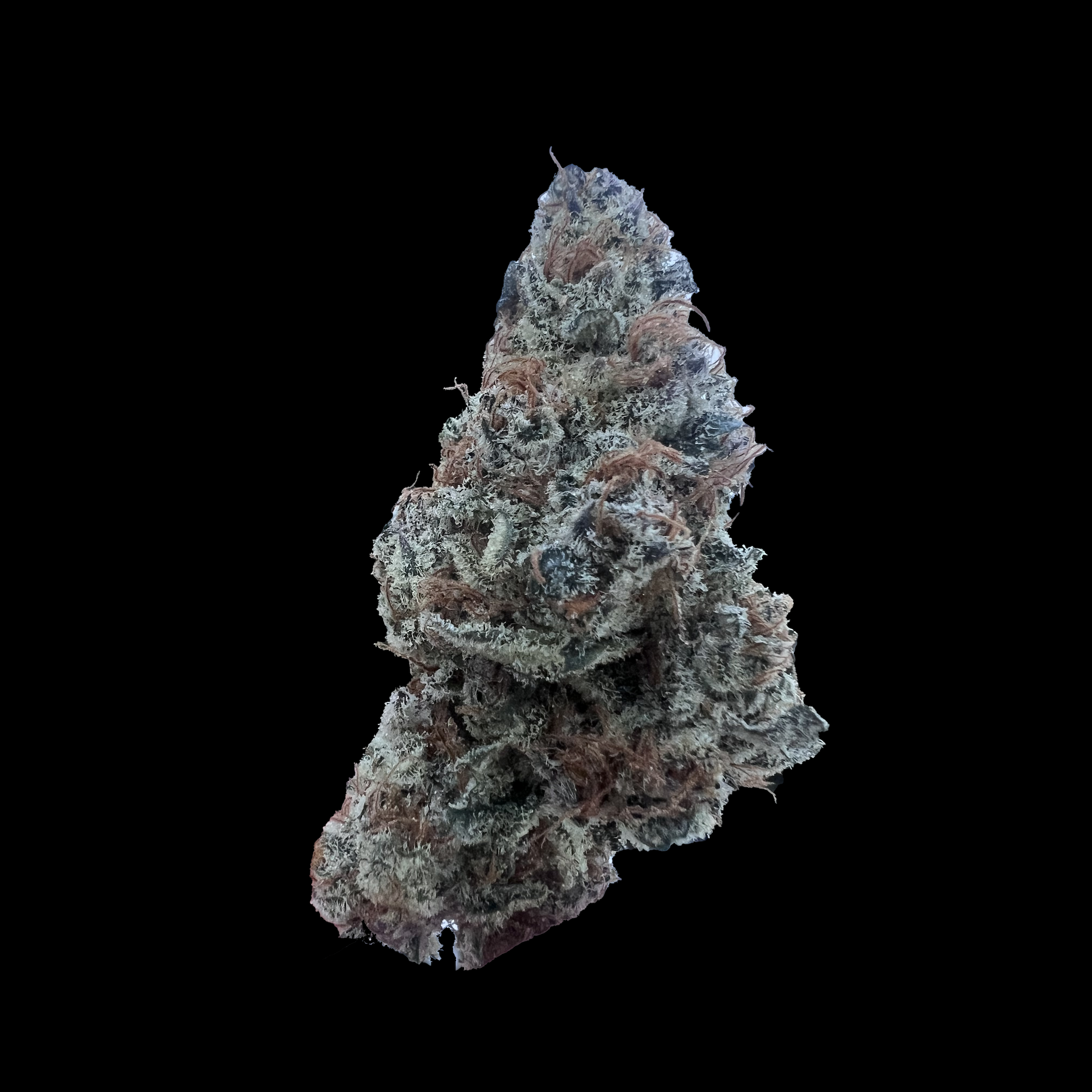 Photograph of product: Preposterously - Sub Zero - Flower - 3.5g
