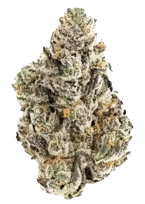 Photograph of product: Pro Gro Fight Club Rec - 70g