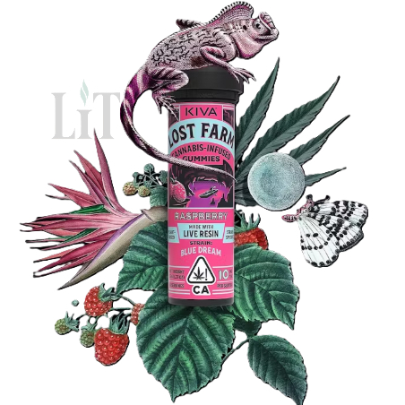 Photograph of product: RASPBERRY - 100MG GUMMIES