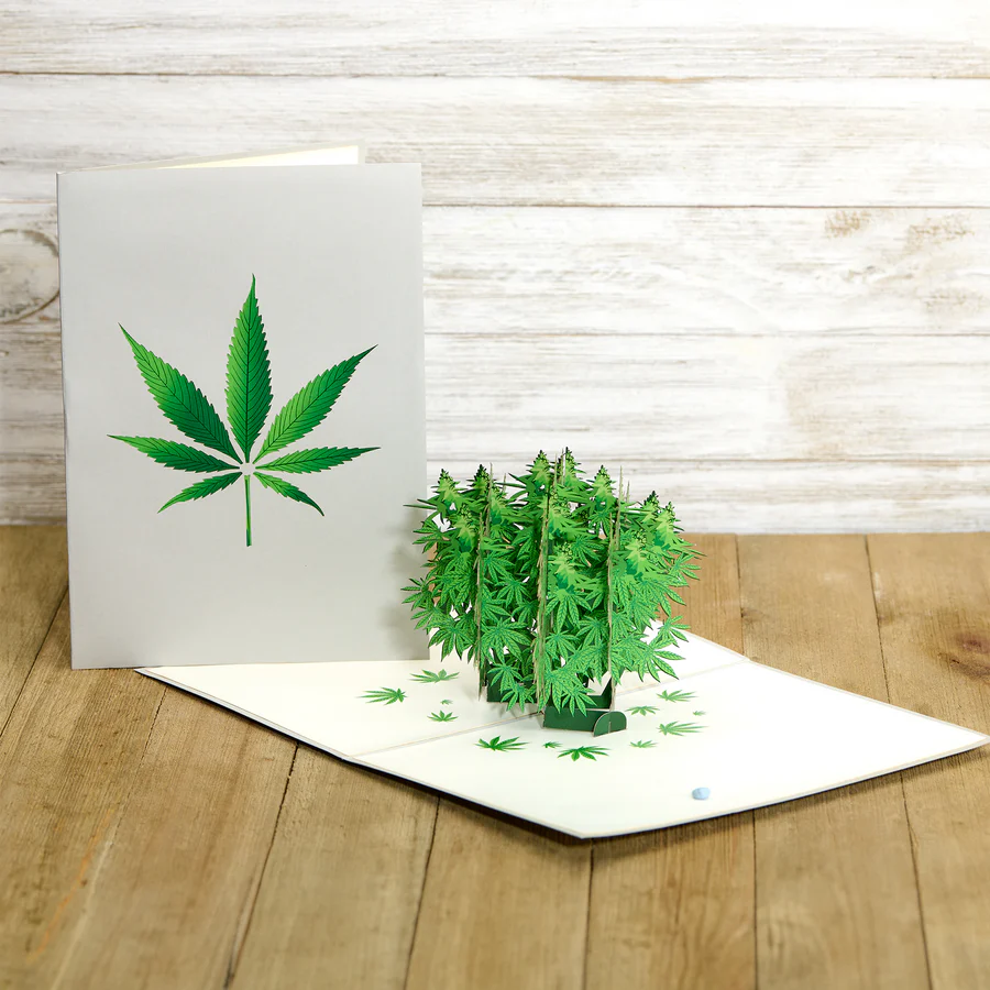 Photograph of product: Pot Plant I 3D Greeting Card