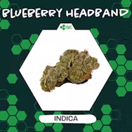 Photograph of product: Herbal Wellness Center - Blueberry Headband (I) - 2.83g