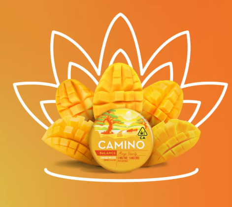 Photograph of product: Camino-Mango-1:1-CBD:TH-oui-20ct-00056