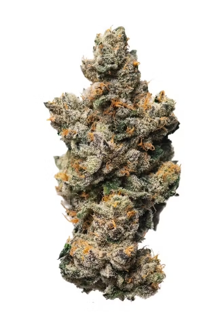Photograph of product: PROPER OUID! - I-95 3.5G HYBRID