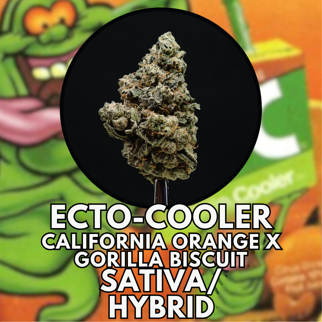 Photograph of product: Flower - Ecto-Cooler - Top Shelf - 28g