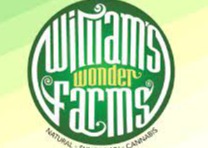 Photograph of Product: Purple Punch (Williams Wonder) - 3.5g